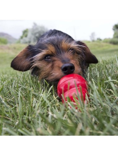 Easy Treat™ Liver KONG