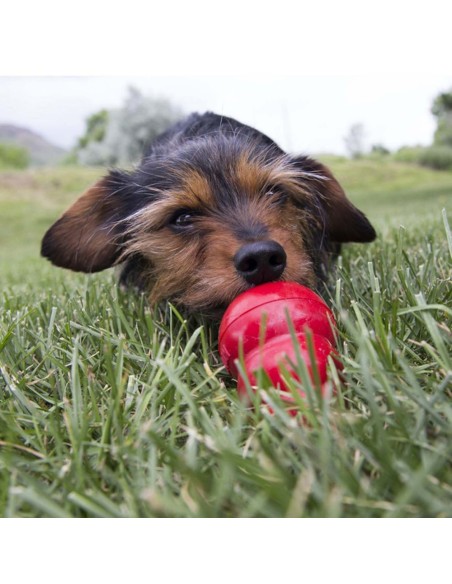 KONG Peanut Butter Easy Treat