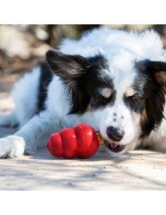 Friandises Snacks™ beurre de cacahuète KONG pour chien 2