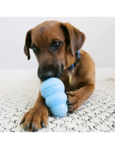 Friandises Snacks™ Puppy KONG pour chiots 2