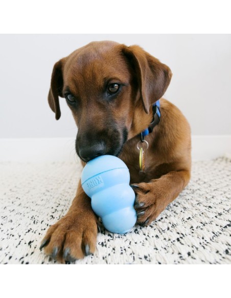 Friandises Snacks™ Puppy KONG pour chiots