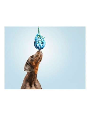 Jouet chien caoutchouc balle creuse 7cm avec corde 30cm