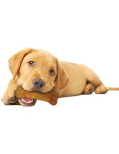 Puppy Bone Nylabone Chicken 2