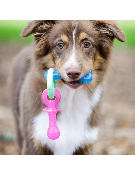 Teething Pacifier goût Bacon Nylabone XS - jouet à mâcher pour chiot