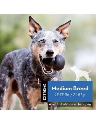 Jouet KONG® Extrême noir