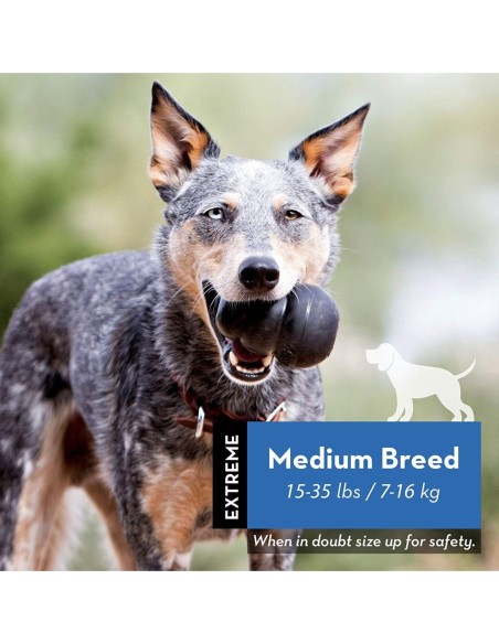 Jouet KONG® Extrême noir