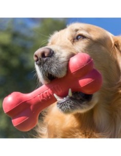 Jouet KONG® Goodie Bone Large 2