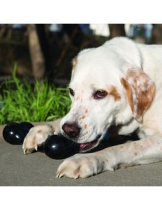 Jouet KONG Extreme Goodie Bone 2