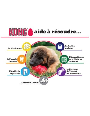 KONG PUPPY