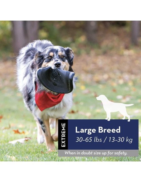 Jouet KONG® Flyer Extrême (Frisbee)