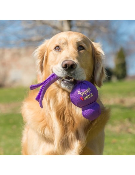 KONG Wubba™ - Jouets pour chien