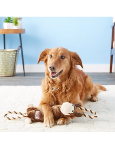 Kong tugger Knots Moose 2