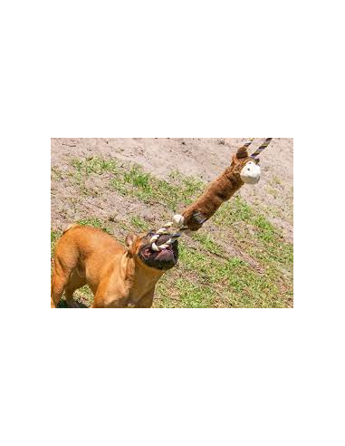 Kong tugger Knots Moose