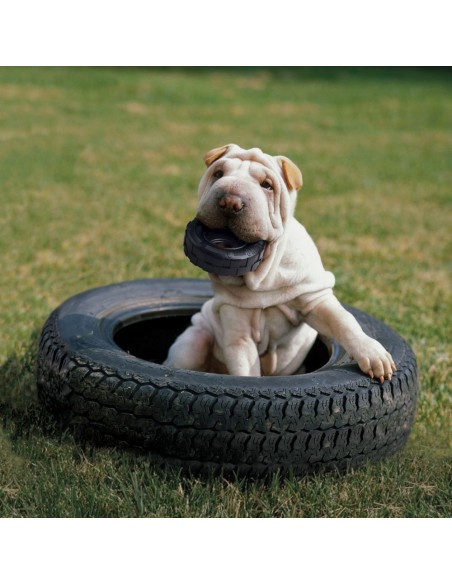 Jouet KONG Extreme Tyres