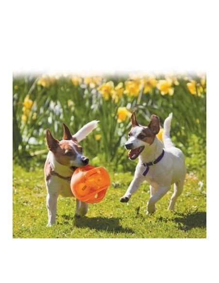 KONG® Jumbler ball