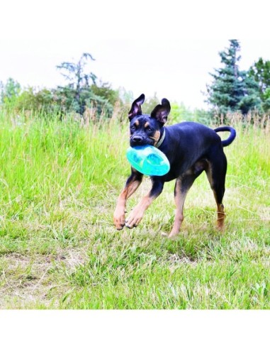 KONG® Jumbler Football