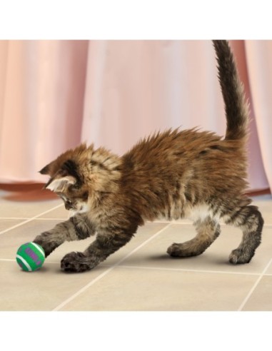 Balle pour chats CAT ACTIVE TENNIS BALLS W/BELLS