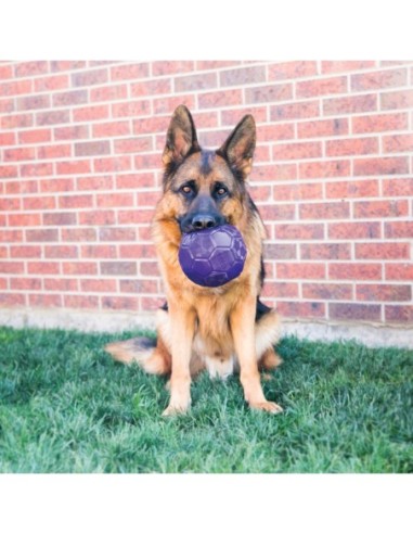 KONG FLEXBALL - BALLON FLEXIBLE