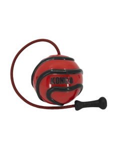 KONG Wavz Bunjiball