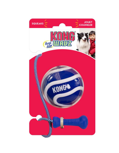 KONG Wavz Bunjiball