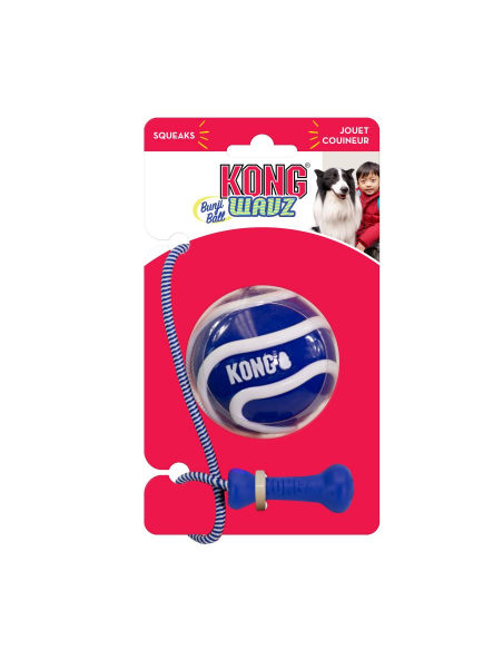 KONG Wavz Bunjiball