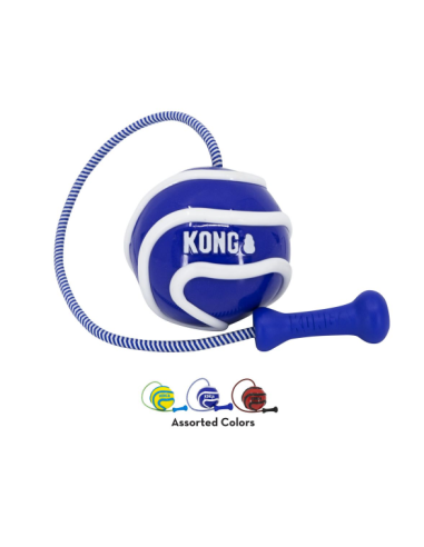 KONG Wavz Bunjiball