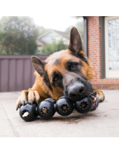 KONG Extreme Goodie Ribbon 2