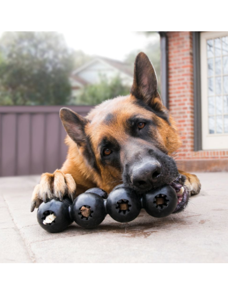 KONG Extreme Goodie Ribbon