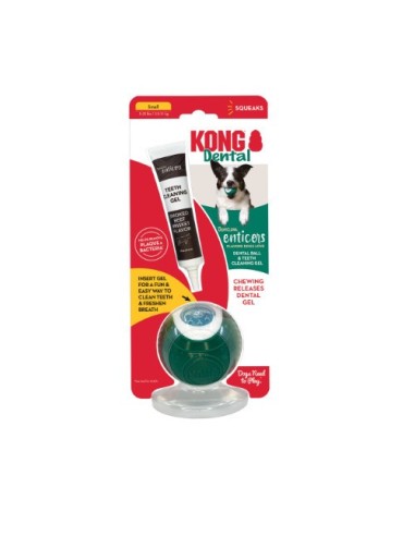 KONG dental ball