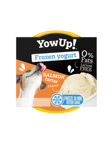 Yaourt glacé tartare de saumon pour chien et chat - Yowup