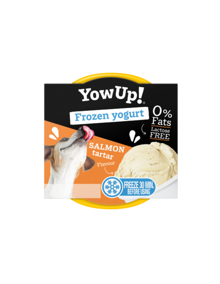 Yaourt glacé tartare de saumon pour chien et chat - Yowup