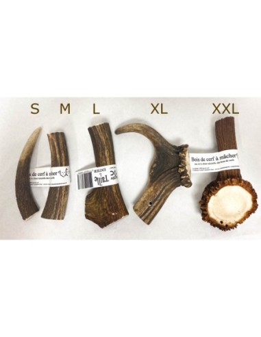 Bois de cerf - friandises naturelles à mâcher pour chien