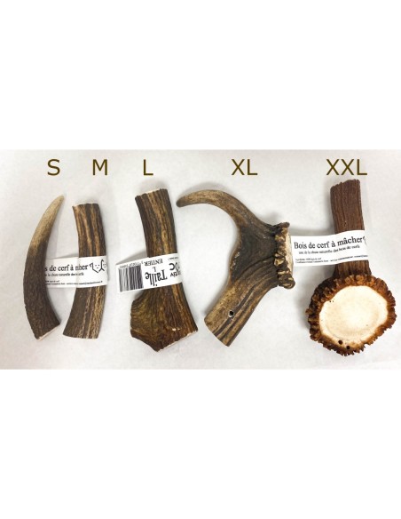 Bois de cerf - friandises naturelles à mâcher pour chien