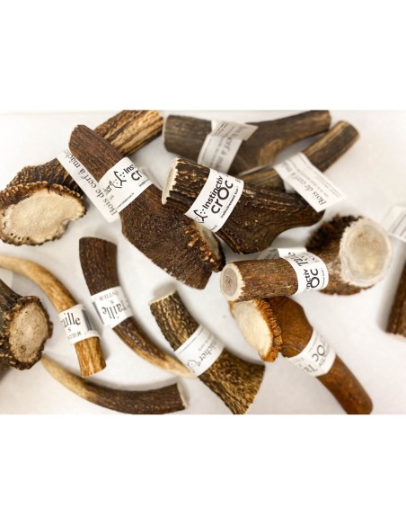 Bois de cerf - friandises naturelles à mâcher pour chien