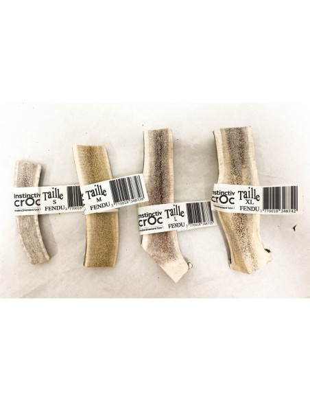 Bois de cerf fendu - INSTINCTIV CROC - friandises naturelles à macher pour chien