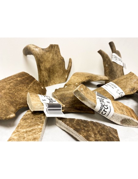 Bois de daim - Instinctiv crOc - friandises naturelles à macher pour chien