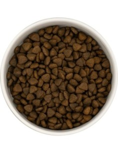 Croquettes Superfood petite race - à la dinde - Instinctiv crOc 2