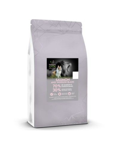 Croquettes sans céréales allégées au saumon pour chat - Instinctiv crOc