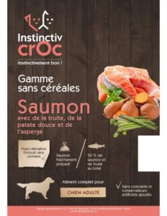 Croquettes sans céréales au saumon pour chien - INSTINCTIV CROC