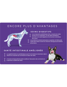 Croquettes vétérinaires Peptide+ Soins Gastro-Intestinaux et Digestifs - INSTINCTIV CROC 2