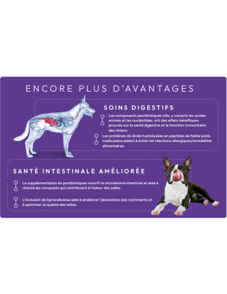 Croquettes vétérinaires Peptide+ Soins Gastro-Intestinaux et Digestifs - INSTINCTIV CROC
