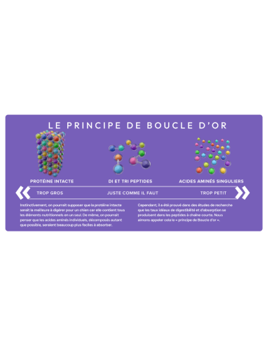 Croquettes vétérinaires Peptide+ Soins Gastro-Intestinaux et Digestifs - INSTINCTIV CROC