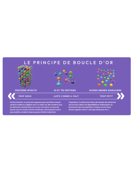 Croquettes vétérinaires Peptide+ Soins Gastro-Intestinaux et Digestifs - INSTINCTIV CROC