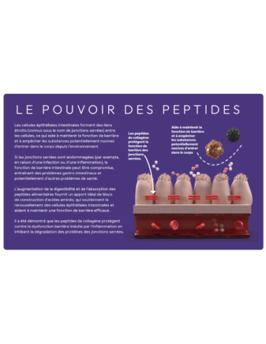 Croquettes vétérinaires Peptide+ Soins Gastro-Intestinaux et Digestifs - INSTINCTIV CROC
