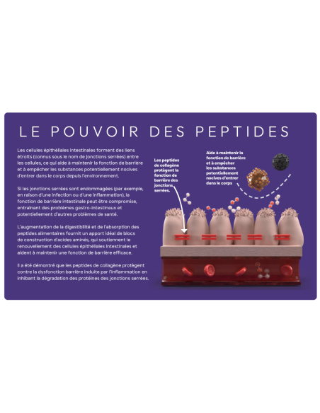 Croquettes vétérinaires Peptide+ Soins Gastro-Intestinaux et Digestifs - INSTINCTIV CROC