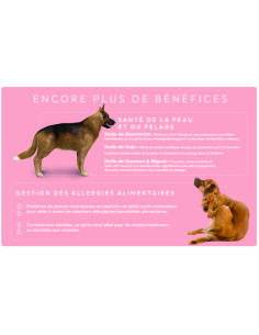 Croquette vétérinaires Peptide+ soin de la peau et du pelage - INSTINCTIV CROC 2