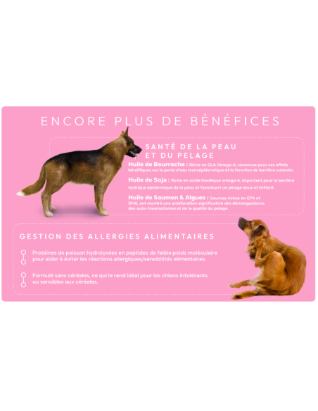 Croquette vétérinaires Peptide+ soin de la peau et du pelage - INSTINCTIV CROC