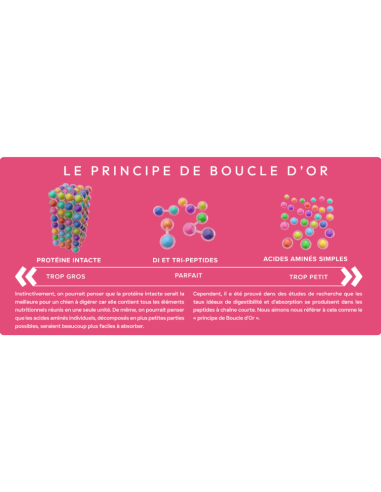 Croquette vétérinaires Peptide+ soin de la peau et du pelage - INSTINCTIV CROC