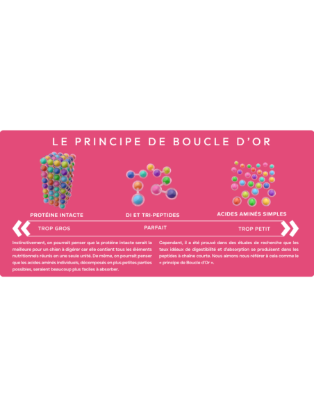 Croquette vétérinaires Peptide+ soin de la peau et du pelage - INSTINCTIV CROC