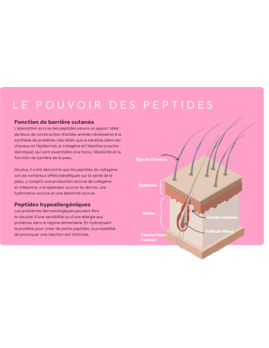 Croquette vétérinaires Peptide+ soin de la peau et du pelage - INSTINCTIV CROC